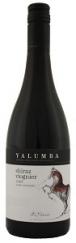 Yalumba - Shiraz Viognier The Y Series 2019 (750ml) (750ml)