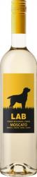 Lab Vinho Regional Moscato 2022 (750ml) (750ml)