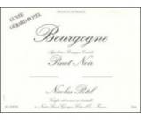 Nicolas Potel - Bourgogne Rouge Cuvee Gerard Potel Pinot Noir 2013 (750ml)