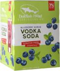 Dogfish Head Blueberry Shrub Vodka Soda 0 (414)